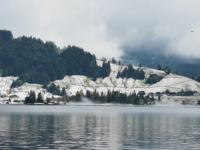 Weisses Feld vom Hagel