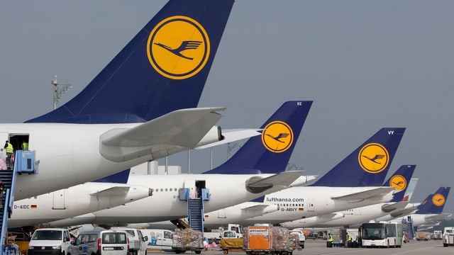 Heckflossen von Lufthansa-Maschinen