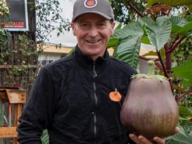 Matthias Leuenberger hält seine riesige Aubergine in der Hand