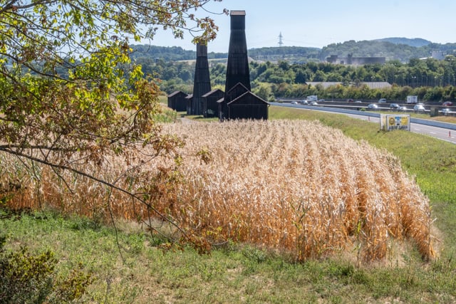 Trockenes Feld.