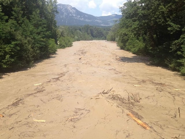 Viel braunes Wasser in Fluss mit Baumstämmen.