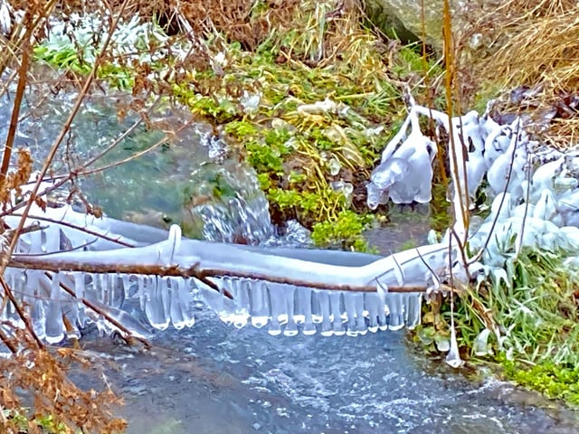 Icy branch on a river