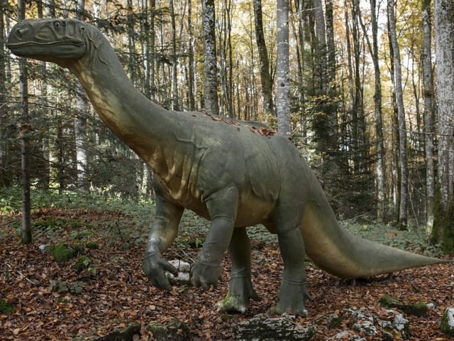 Plateosaurus