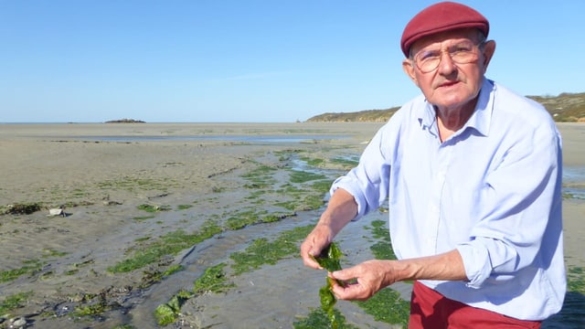 Der Umweltschützer André Ollivro in der Bucht von Saint-Brieuc.