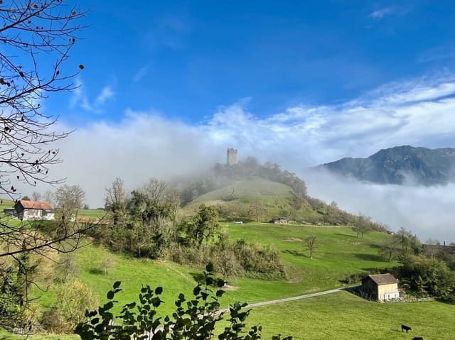 Burg auf Hügel mit Nebel und Wiesenlandschaft.