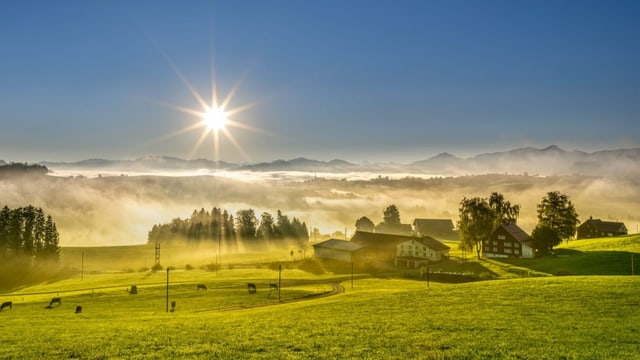 Sonnenuntergang beim Buchschachen Herisau.