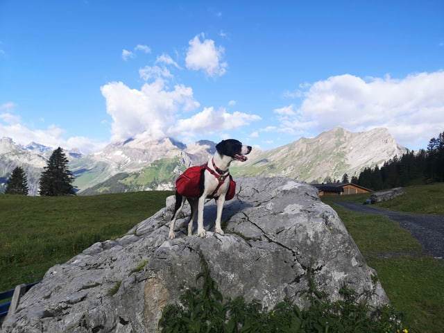 Urchige Schweiz Die Schonsten Alpen Bilder Der Srf 1 Community Radio Srf 1 Srf