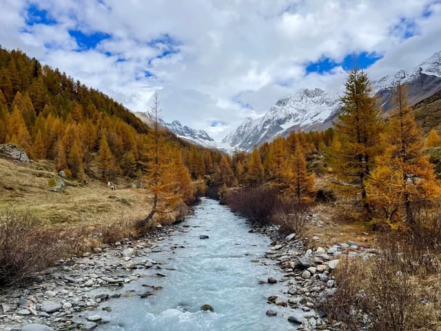 Bergfluss mit herbstlichen Bäumen und schneebedeckten Gipfeln.