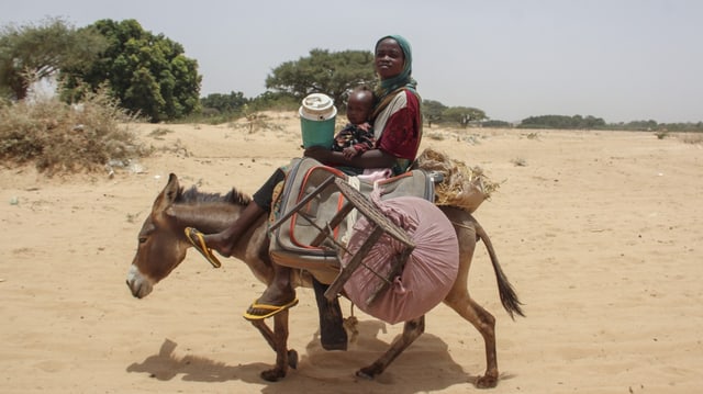 Flüchtlinge auf dem Weg zur Grenze zwischen Sudan und Tschad.