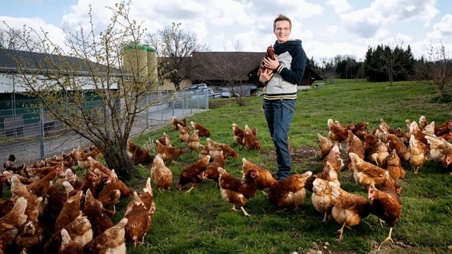 Landfrau Helen Imhof mit ihren Bio-Legehennen.