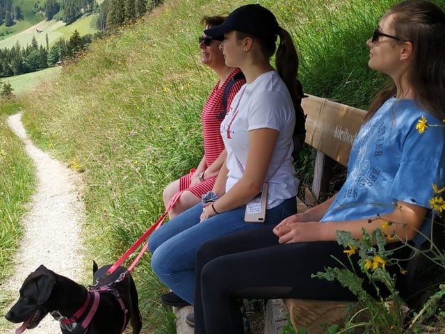 Drei Frauen auf einer Bank in der Natur. Mit Hund.