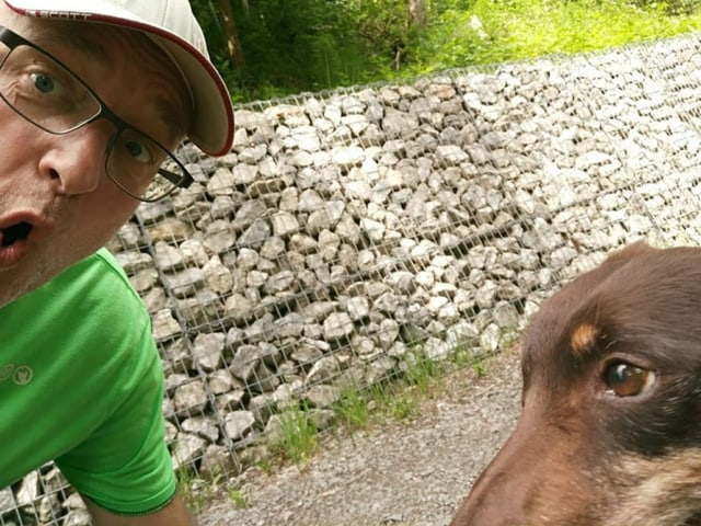 Mensch mit Hund auf Weg im Wald.