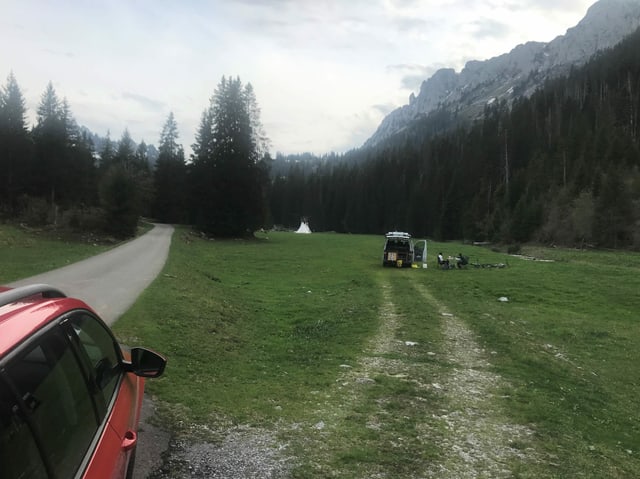 Auto auf Trampelpfad in grüner Wiese