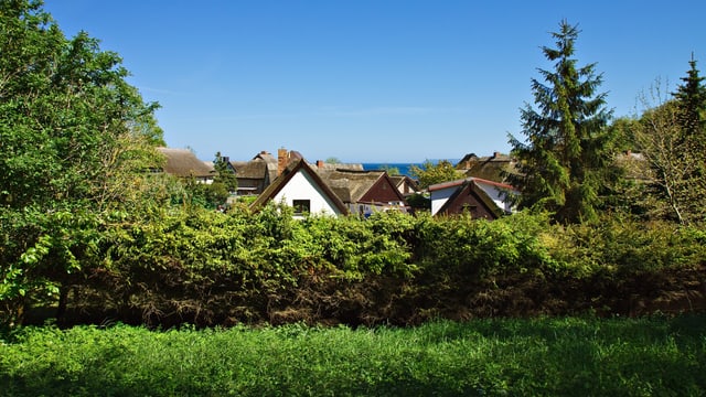 Ein Dorf hinter einer Hecke.