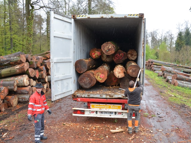 Gefüllter Container