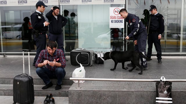 Polizisten mit Spürhund, davor sitzt ein Mann auf dem Trottoir