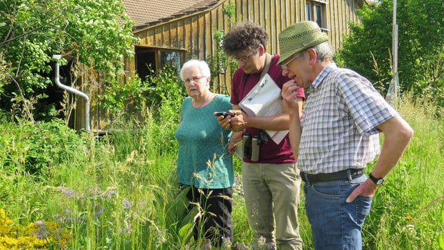 Gartenbegutachtung