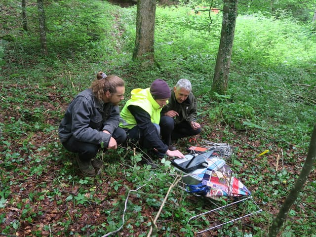 Mehrere Personen hocken im Wald und überprüfen die Ergebnisse.