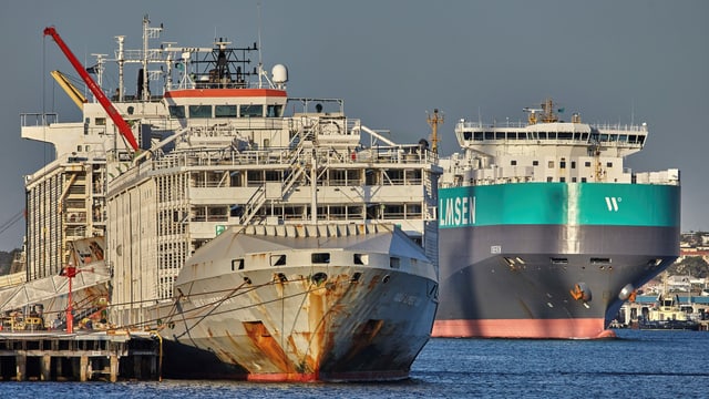 The Gulf Livestock 1 ship sank a year ago in an Australian port.