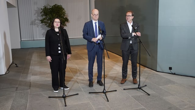 Andreas Nahles, Ralph Brinkhaus und Alexander Dobrindt treten vor die Medien