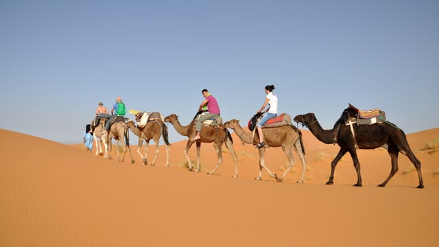 Touristengruppe reitet auf Kamelen durch eine Sandwüste