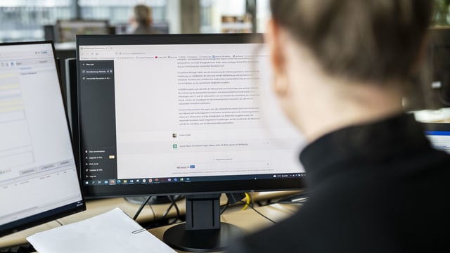 Eine Frau sitzt vor einem Computer. 