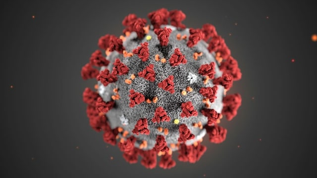 Immer dabei in unserem Gedanken-Gepäck: Das Corona-Virus.