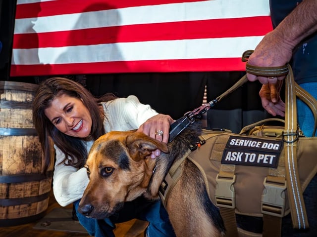 Nikki Haley streichelt einen Sicherheitshund an einer politischen Veranstaltung am 3. Januar.