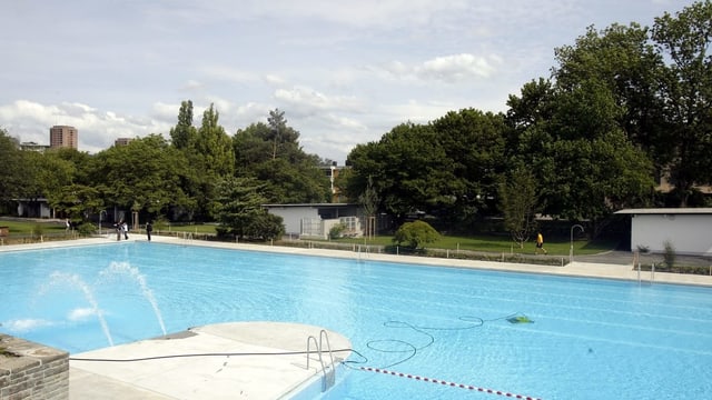 Ein leeres Schwimmbecken, dahinter Bäume und Büsche.