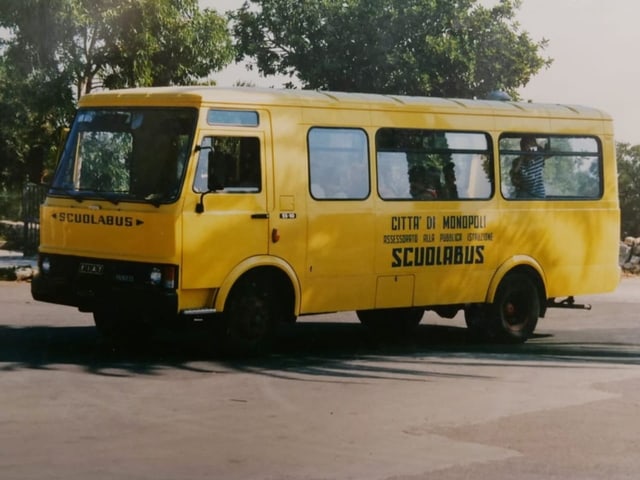 Schulbus.