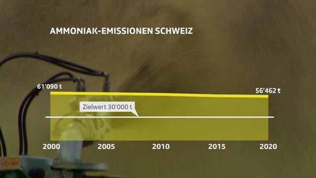 Grafik Ammoniak-Emissionen