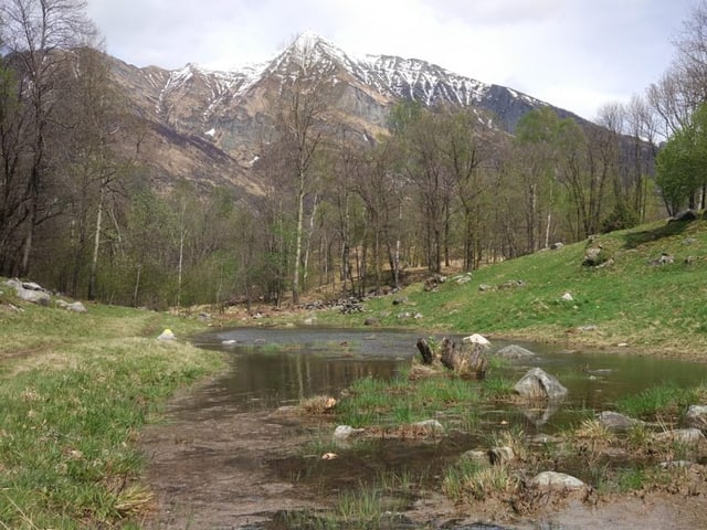 Hochebene mit einem Weiher in den Bergen.