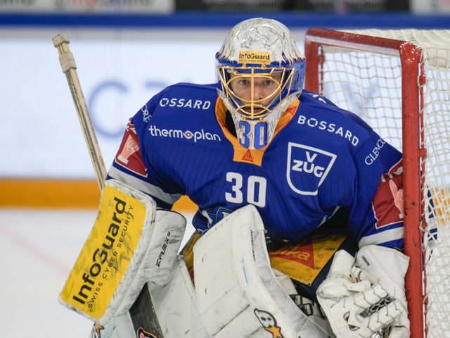 Eishockey-Torwart in blauer Uniform vor dem Tor.