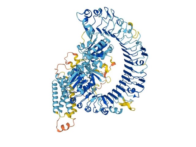 Strukturmodell eines Proteinmoleküls in bunten Schleifen.