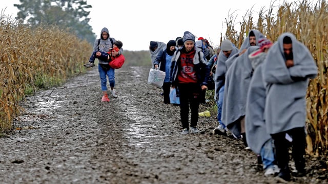 Die Flüchtlinge gehen auf einem Weg.