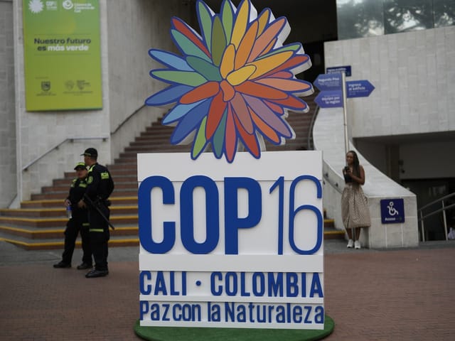 COP16-Schild in Cali, Kolumbien vor Gebäude.