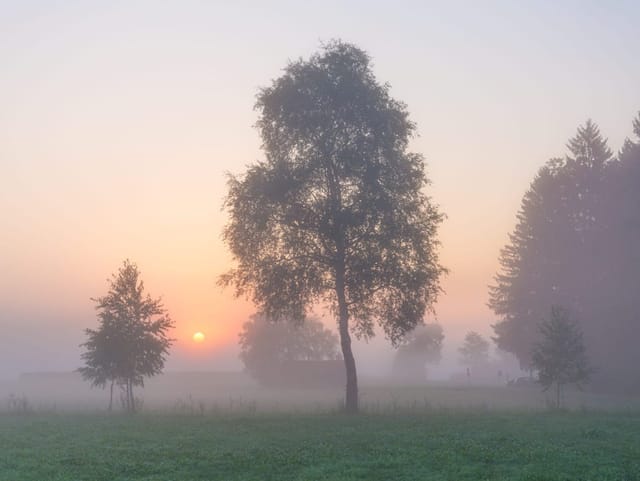 Herbstlicher Sonnenaufgang im Egolzwilermoos