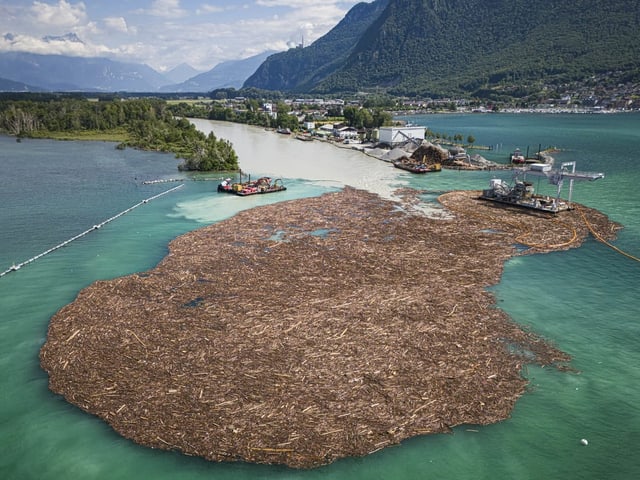 Ein grosser Berg Schwemmholz schwimmt vor dem Rhonezufluss im Genfersee.