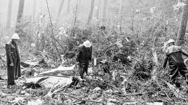 Absturzstelle in einem Wald bei Würenlingen.