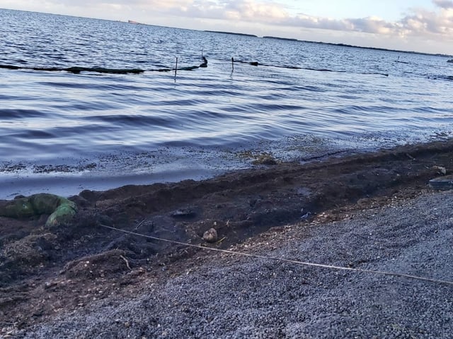 Die Umwelt wird stark in Mitleidenschaft gezogen.