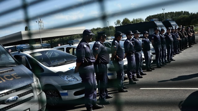 Polizisten stehen in Reih und Glied, dahinter Polizeiautos.