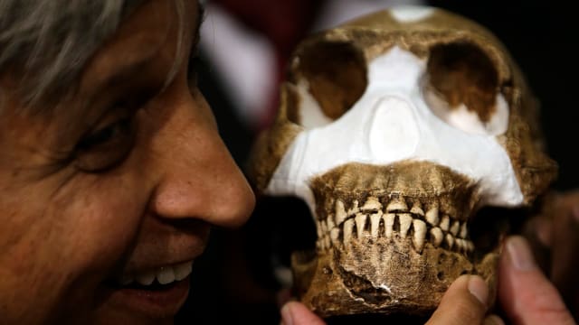 Ein Professor des Forscherteams präsentiert eine Rekonstruktion des Schädels des Homo naledi.