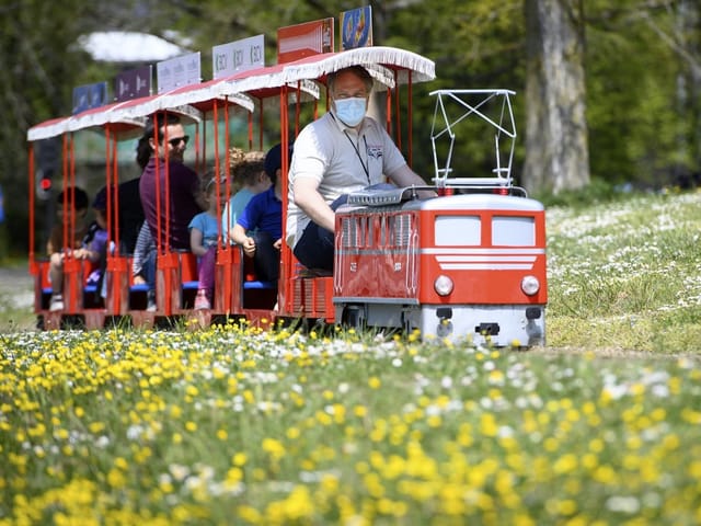 Miniaturzug im Park mit Fahrgästen und Lokführer.