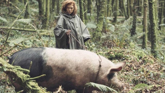 schwein im Wald