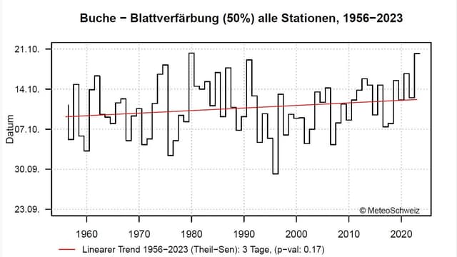 Blattverfärbung: 3 Tage später