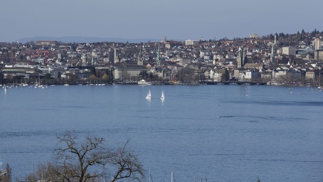 Das Zürcher Seebecken mit Blick auf die Innenstadt.