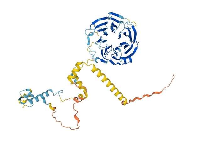 Diagramm einer Proteinstruktur mit spiralförmigen Elementen.