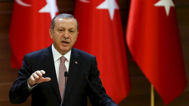 Der türkische Präsident gestikuliert während einer Rede. (reuters)