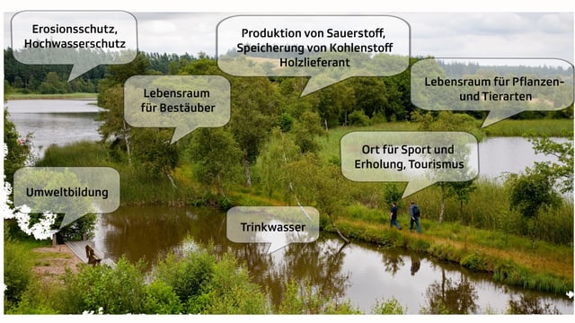 Grafik zu Ökosystemleistungen