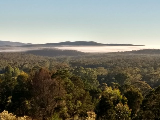 Aussicht auf den australischen Busch.